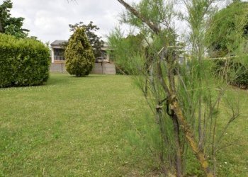 Foto 10 - Quadrilocale Via Mercadante
 
55, Monza - foto 10