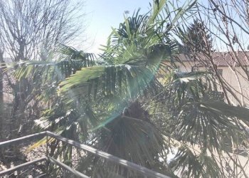 Foto 12 - Two-room apartment Via Ottaviano Vimercati
 
16, Milano - photo 12