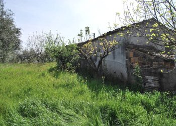 Foto 5 - Casa indipendente Rosciano - foto 5