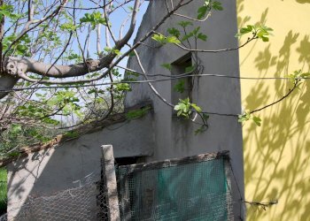 Foto 6 - Casa indipendente Rosciano - foto 6