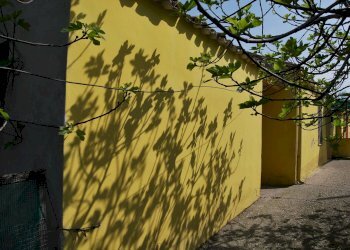 Foto 7 - Casa indipendente Rosciano - foto 7