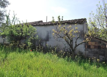 Foto 8 - Casa indipendente Rosciano - foto 8