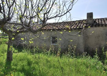 Foto 9 - Casa indipendente Rosciano - foto 9