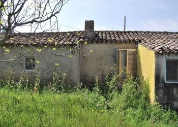 Foto 10 - Casa indipendente Rosciano - foto 10