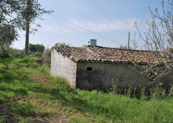 Foto 11 - Casa indipendente Rosciano - foto 11