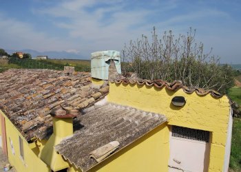 Foto 13 - Casa indipendente Rosciano - foto 13