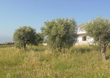 Foto 1 - Terreno edificabile Rosciano - foto 1