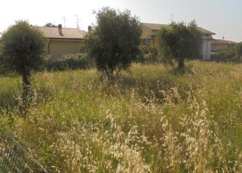 Foto 2 - Terreno edificabile Rosciano - foto 2