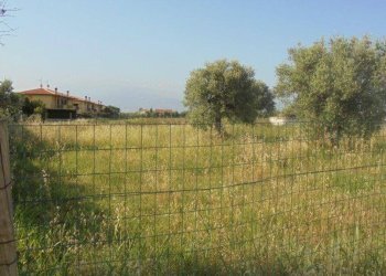 Foto 3 - Terreno edificabile Rosciano - foto 3