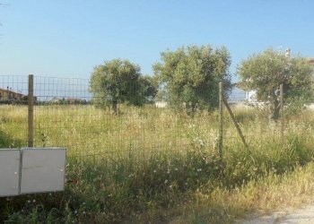 Foto 4 - Terreno edificabile Rosciano - foto 4