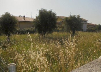 Foto 6 - Terreno edificabile Rosciano - foto 6