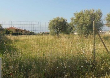 Foto 7 - Terreno edificabile Rosciano - foto 7