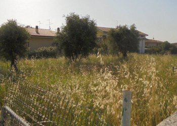 Foto 8 - Terreno edificabile Rosciano - foto 8