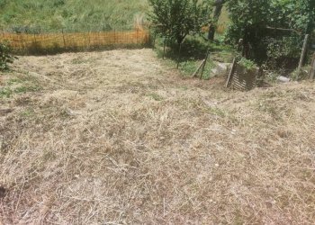 Foto 6 - Independent house Cepagatti - photo 6