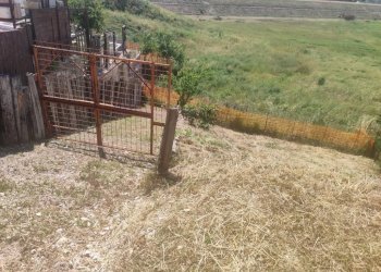 Foto 7 - Independent house Cepagatti - photo 7