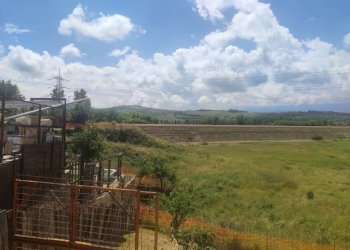 Foto 8 - Independent house Cepagatti - photo 8