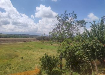 Foto 9 - Independent house Cepagatti - photo 9