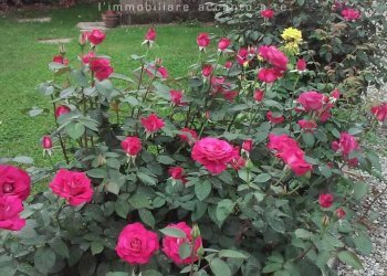 Foto 15 - Casa indipendente Casale Sul Sile
 
10, Mogliano Veneto - foto 15