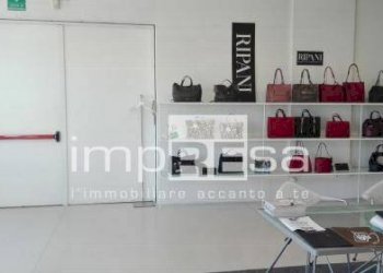 Foto 8 - Magazzino via Tiepolo, Mogliano Veneto - foto 8