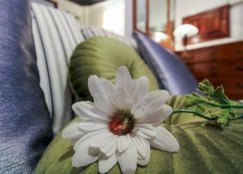 Particolare arredo - One-room apartment Via Piccinini
 
8, Stella - photo 9