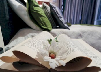 Particolare arredo - One-room apartment Via Piccinini
 
8, Stella - photo 12