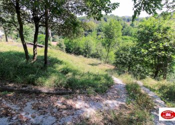 Ingresso carrabile - Casa indipendente Centro Storico e Via G. B. Parodi
 
25, Stella - foto 20