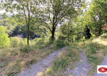 La strada di accesso - Casa indipendente Centro Storico e Via G. B. Parodi
 
25, Stella - foto 22