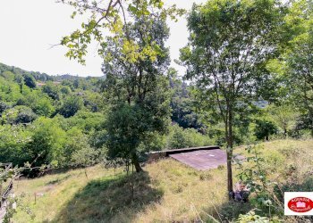 Il terreno circostante - Casa indipendente Centro Storico e Via G. B. Parodi
 
25, Stella - foto 25