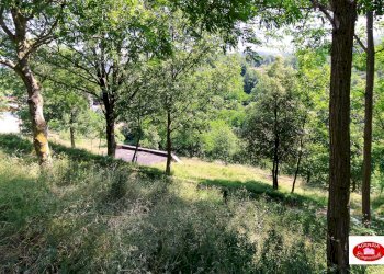 Il terreno in vendita - Casa indipendente Centro Storico e Via G. B. Parodi
 
25, Stella - foto 27