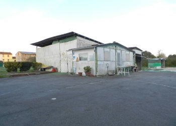 Foto 5 - Warehouse Lucca - photo 5