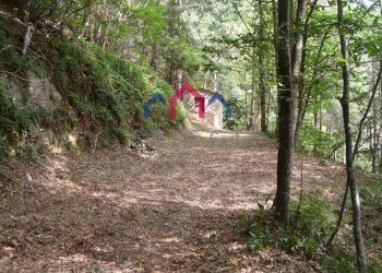 Foto 14 - Rustic Coreglia Antelminelli - photo 14