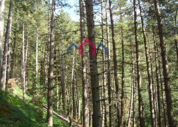 Foto 16 - Rustic Coreglia Antelminelli - photo 16