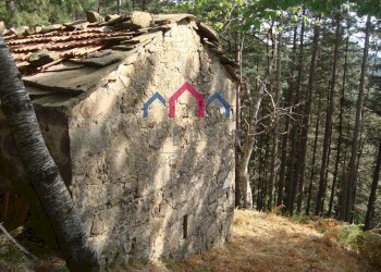 Foto 25 - Rustic Coreglia Antelminelli - photo 25