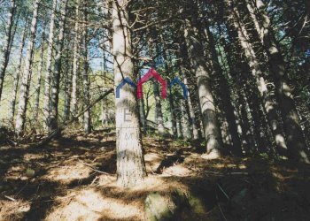 Foto 27 - Rustic Coreglia Antelminelli - photo 27