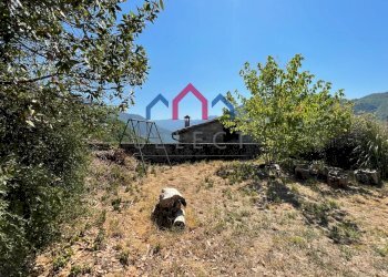 Foto 82 - Villa Pescaglia - foto 82