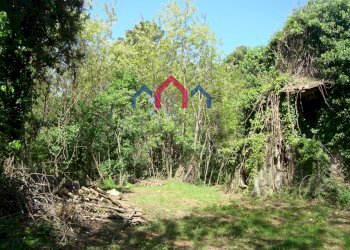 Foto 7 - Rustico Borgo a Mozzano - foto 7