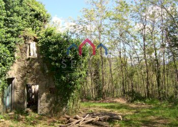 Foto 9 - Rustico Borgo a Mozzano - foto 9