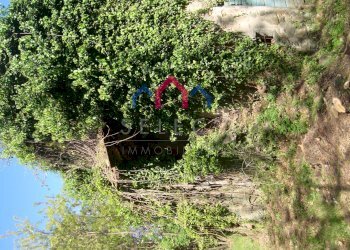 Foto 10 - Rustico Borgo a Mozzano - foto 10