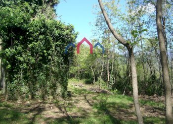 Foto 14 - Rustico Borgo a Mozzano - foto 14