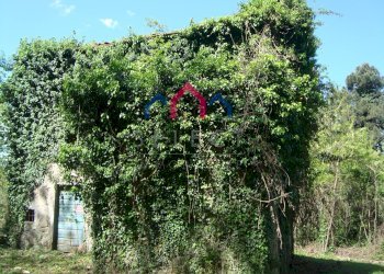 Foto 17 - Rustico Borgo a Mozzano - foto 17