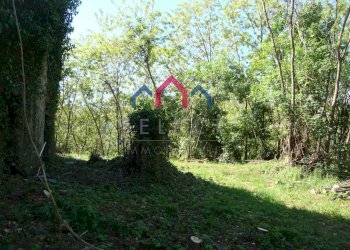 Foto 19 - Rustico Borgo a Mozzano - foto 19