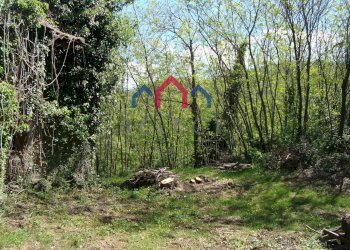 Foto 37 - Rustico Borgo a Mozzano - foto 37