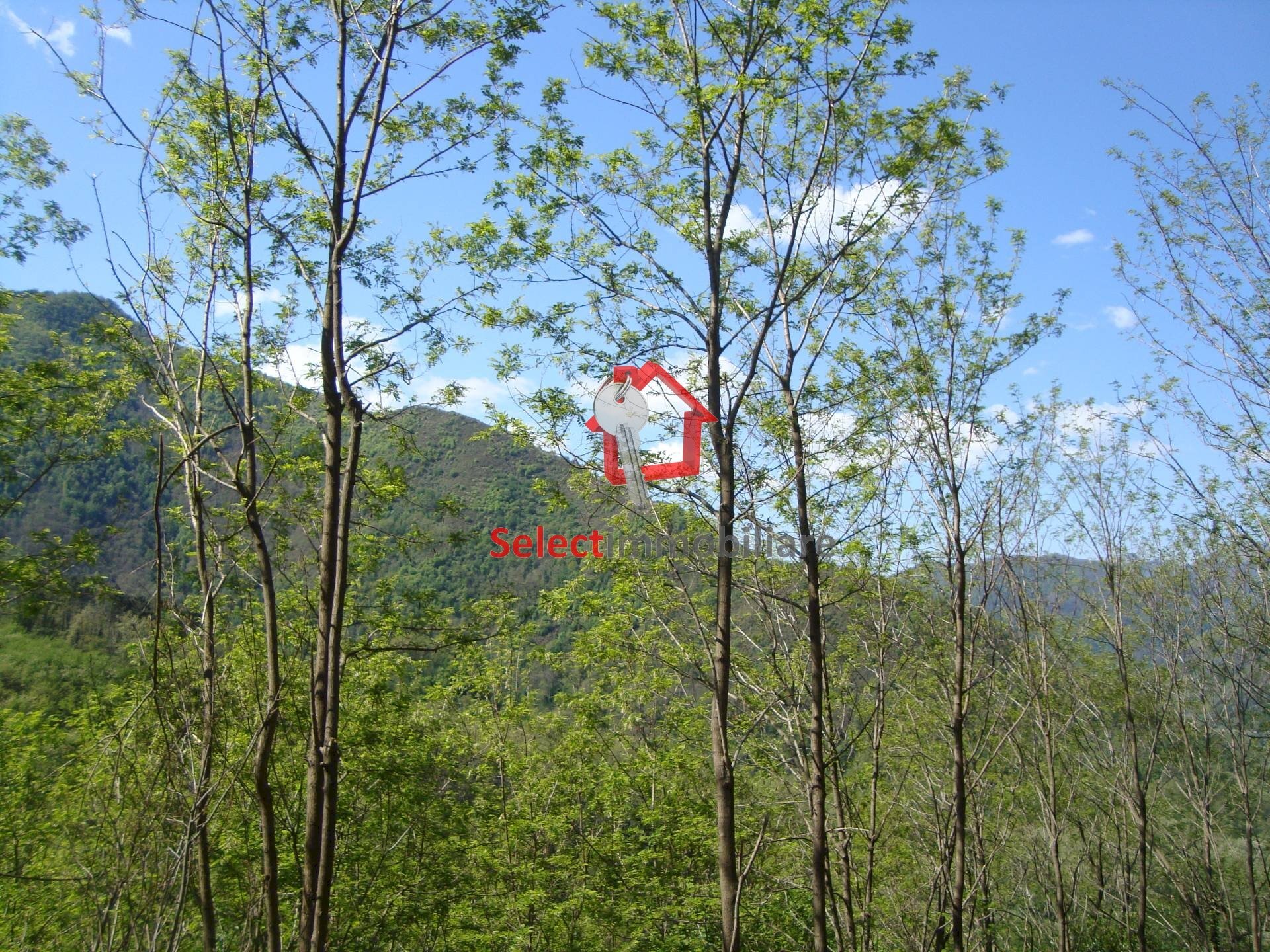 Foto 2 - Rustic Borgo a Mozzano - photo 2