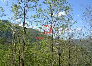 Foto 2 - Rustico Borgo a Mozzano - foto 2