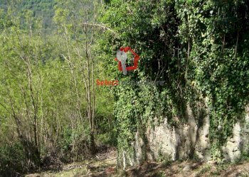 Foto 5 - Rustico Borgo a Mozzano - foto 5