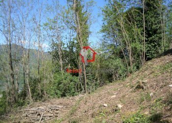 Foto 10 - Rustico Borgo a Mozzano - foto 10