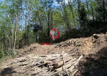 Foto 11 - Rustico Borgo a Mozzano - foto 11