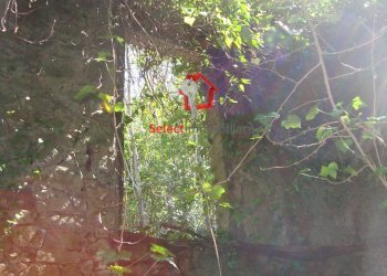 Foto 14 - Rustico Borgo a Mozzano - foto 14