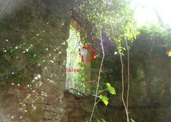 Foto 17 - Rustico Borgo a Mozzano - foto 17