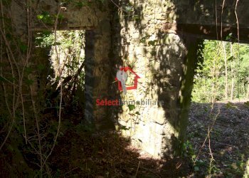 Foto 22 - Rustico Borgo a Mozzano - foto 22